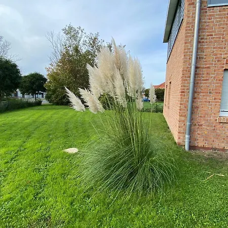 Modernes Wattwurm In Tossens * Butjadingen